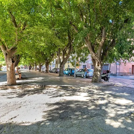 Vico * Sassari